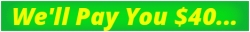 Netspend We ll Pay You 40 Flash banner 468x60.gif