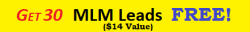 free 30 leads 468x60.png