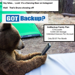 gbbearwcellphone.jpg