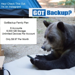 gbbearoninstagram.jpg