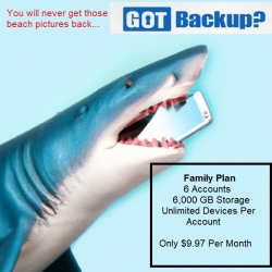 gb shark.jpg