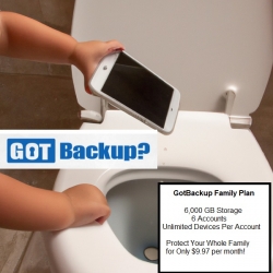 gbtoiletjpg.jpg