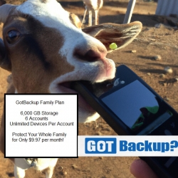 gbgoat.jpg