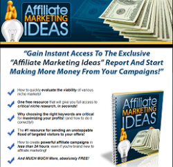 Affiliate Marketing Ideas 233x250.png