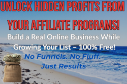 Copy of Unlock Hidden Profits from Your Affiliate │ │ Programs!shadow.png
