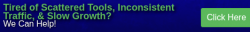 lizviral-2.png