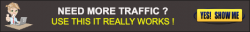 Needmoretraffic.png