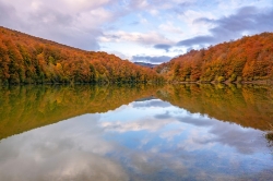 lake-8467473_960_720.jpg
