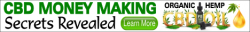 zogena-cbd-secrets-468x60-svg_orig.png