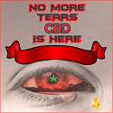 cbd-no-more-tears-square_orig.png