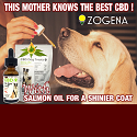 this-mother-knows-the-best-cbd-oil-square_orig.png