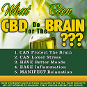 what-can-cbd-do-for-the-brain.png