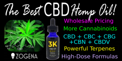 the-best-cbd-hemp-oil-1200x600-150dpi-2_orig.png