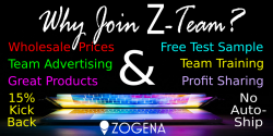 why-join-z-team-1200x600-150dpi-4_orig.png