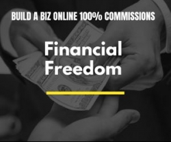 BUILD A BI Z ONLINE.jpg