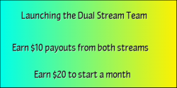 dualstream600x300.png