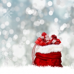 christmas-2947257_1280 (1).jpg