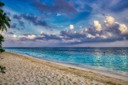 beach-4455224_1280.jpg