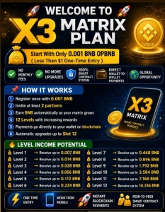 X3 Matrix Income structure2.jpg