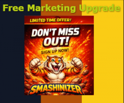 buildabizonline-banner (33).png