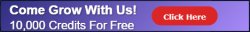 buildabizonline-banner (43).png