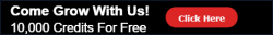 buildabizonline-banner (42).png