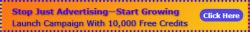buildabizonline-banner (45).png