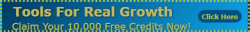 buildabizonline-banner (49).png