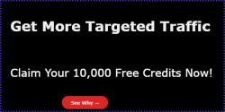 buildabizonline-banner (72).png
