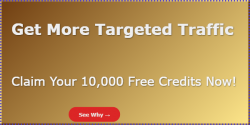buildabizonline-banner (73).png