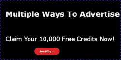 buildabizonline-banner (71).png