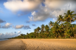 mission-beach-4337406_1280.jpg