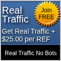 buy-realtraffic.png
