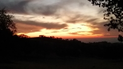 20201110_172208.jpg