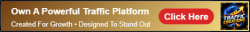 buildabizonline-banner - 2026-08-19T034348.462.png