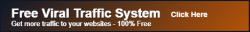 Viral Traffic System banner.png