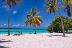 mrpixel000-beach-6517214_1920.jpg