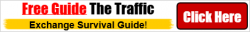 Traffic Exchange Survival Guide 468x60 banner.png