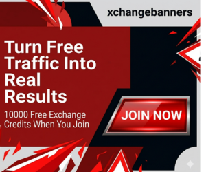 300x250 Banner Ad