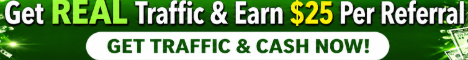 buy-realtraffic
