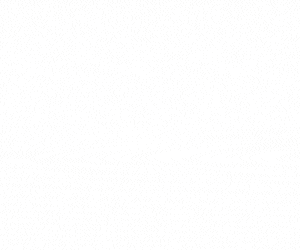 300x250 Banner Ad