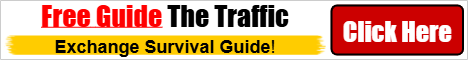 Traffic Exchange Survival Guide